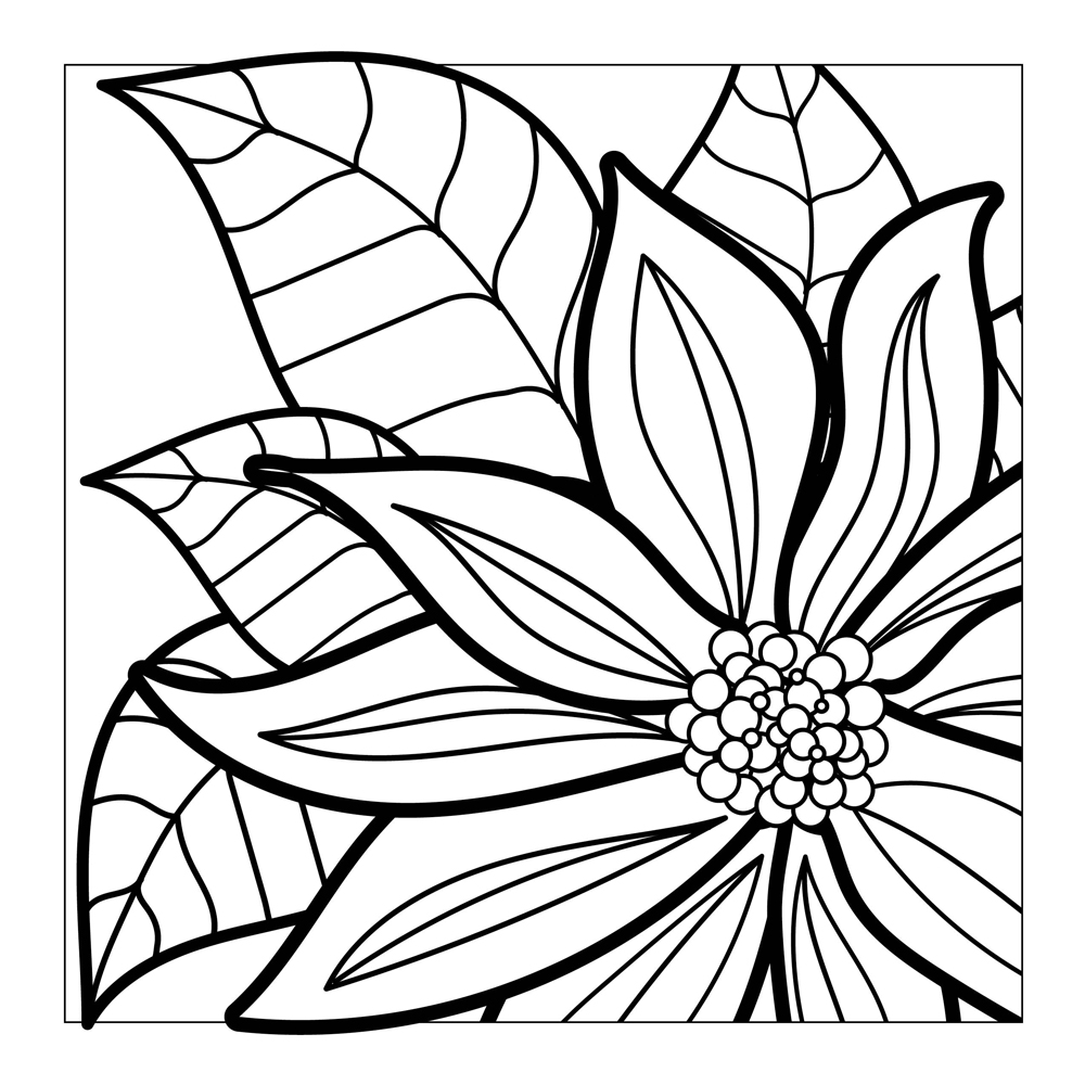 illustrated by Erin M Negron